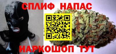 гидра Лесосибирск