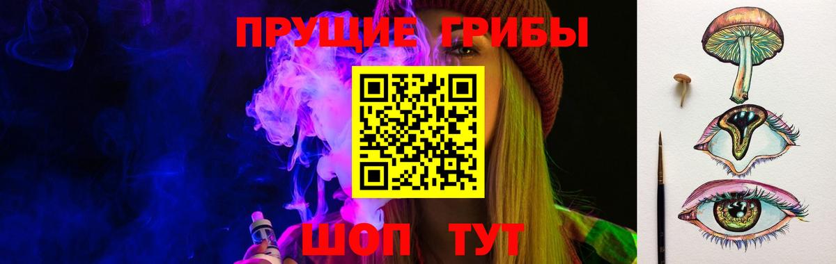 Черногорск  Псилоцибиновые грибы Magic Shrooms  Вход с VPN 